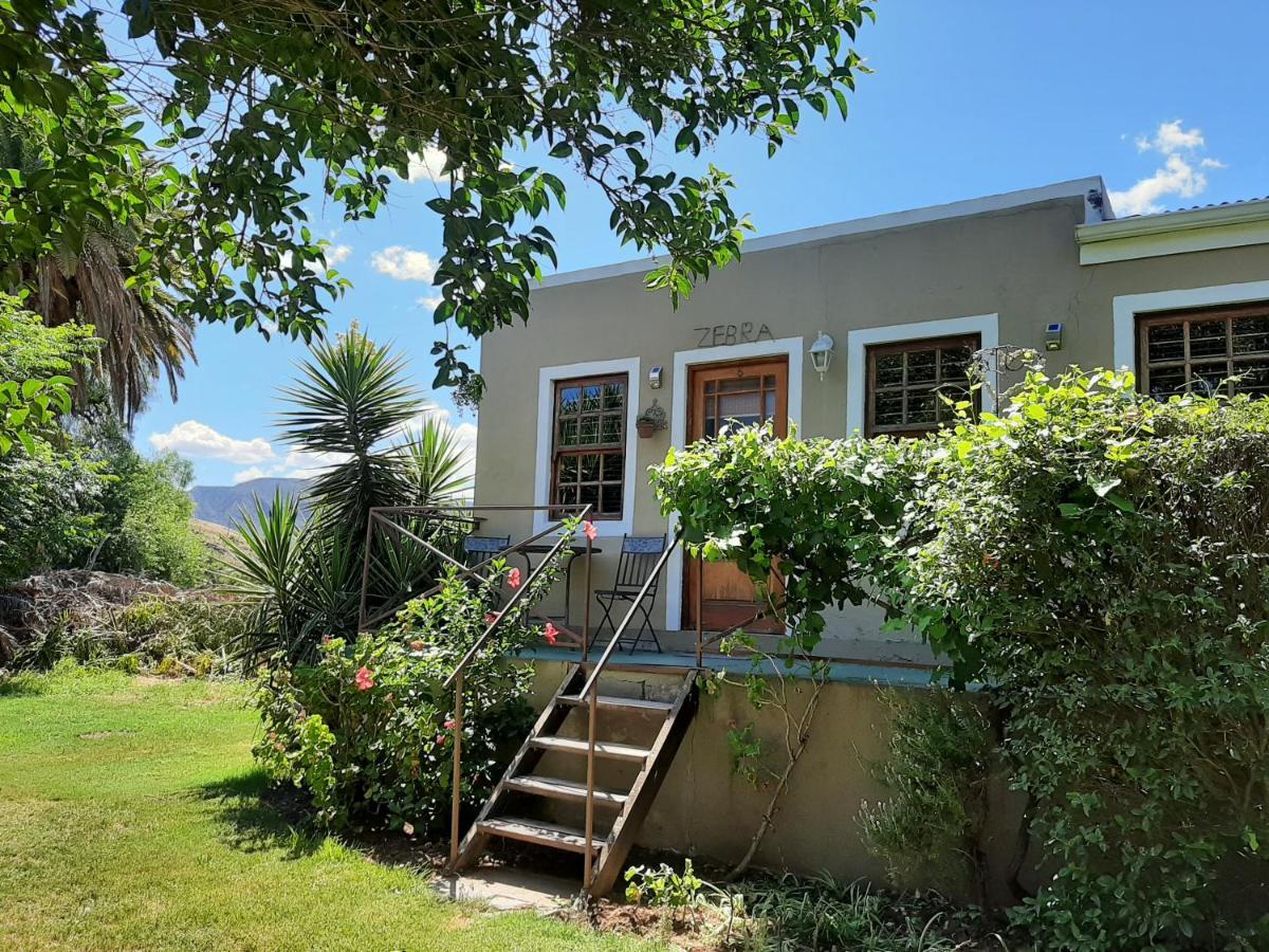 كاليتزدورب Karoo Life B&B المظهر الخارجي الصورة