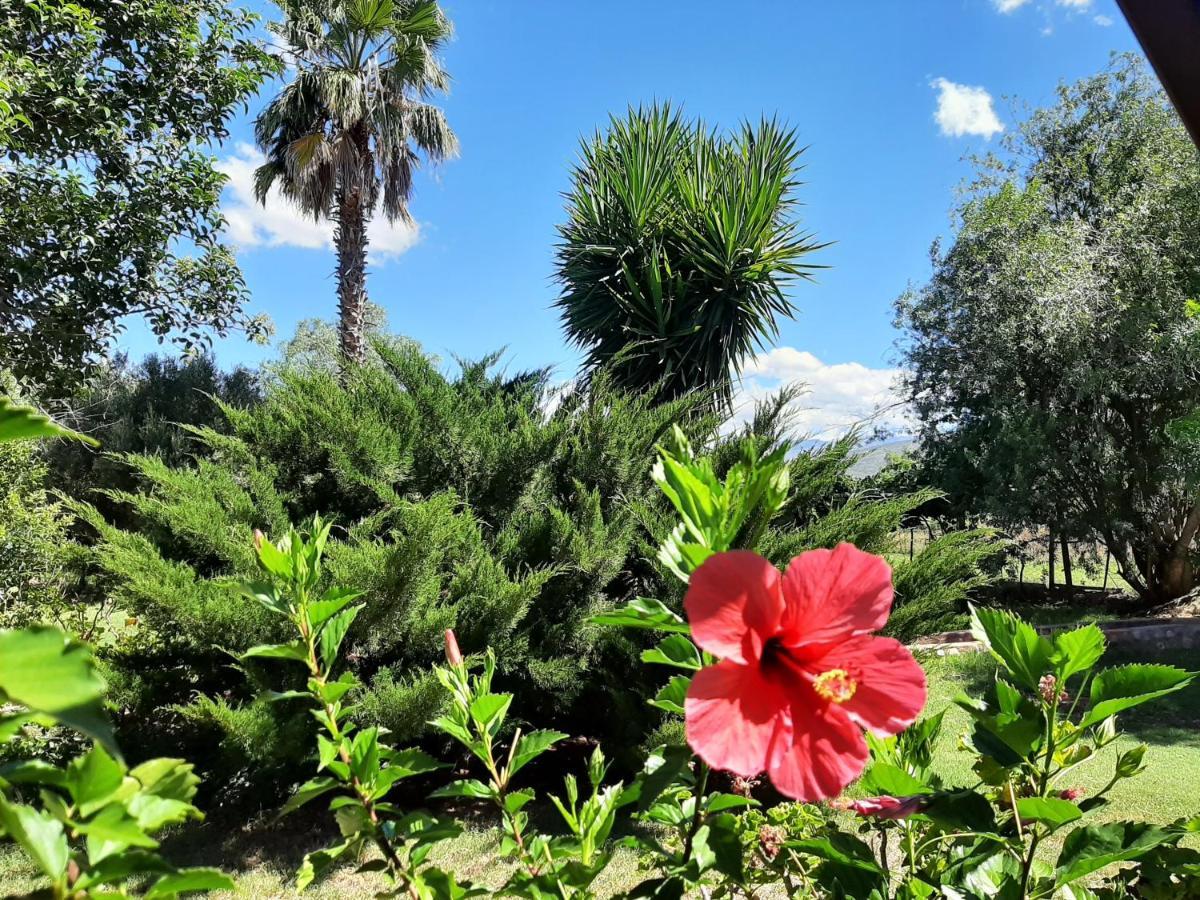 كاليتزدورب Karoo Life B&B المظهر الخارجي الصورة